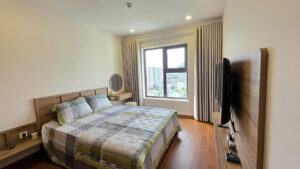 Nice view apartment for rent in Vung Tau Center Point