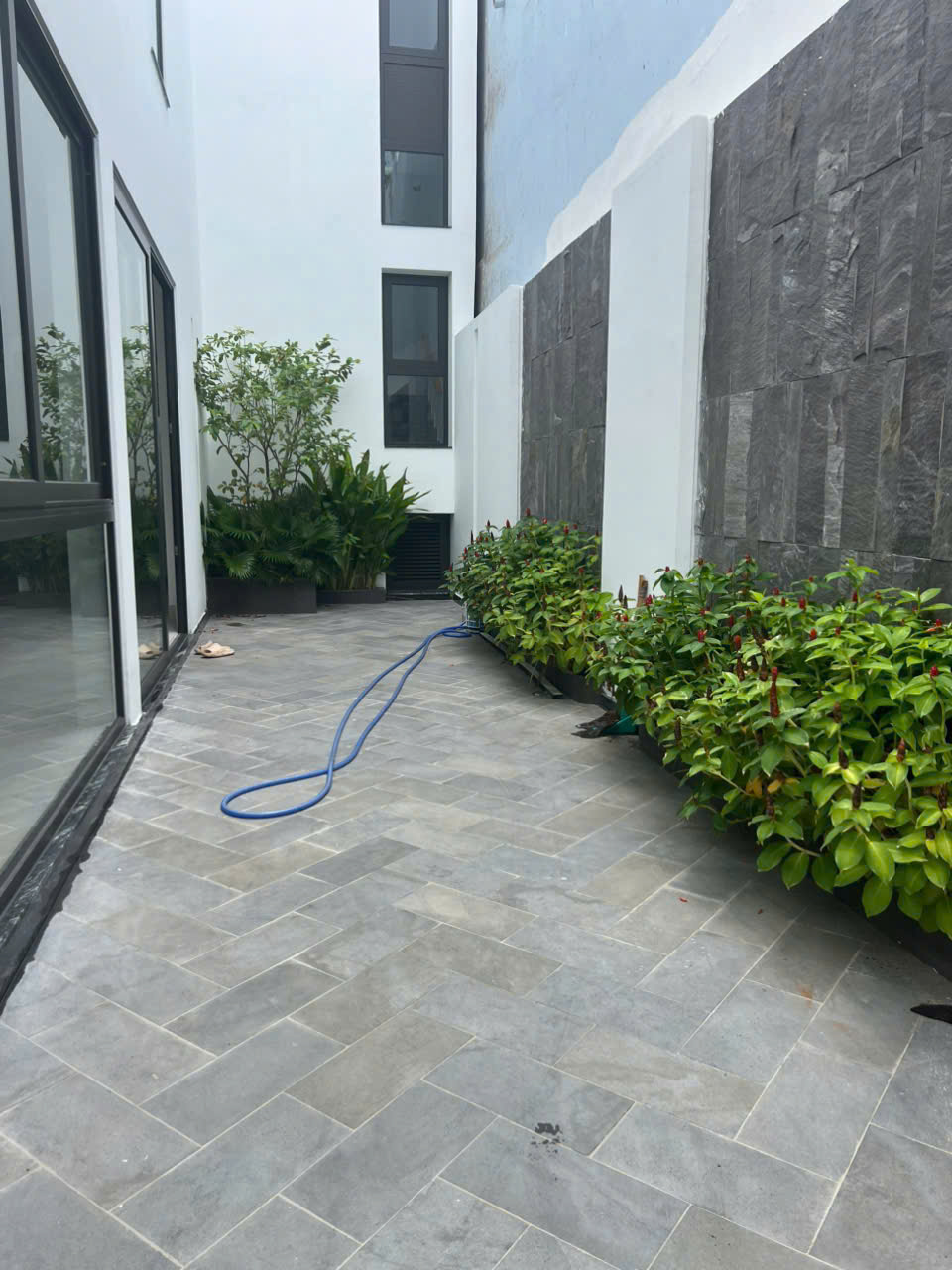Modern house for rent in Vung Tau