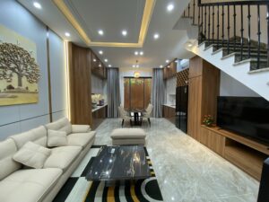 Fully furnished house for rent in Lavida Vung Tau
